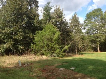 102 Crepe Myrtle