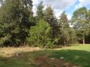 102 Crepe Myrtle sold home in Anderson, SC