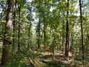 608 Scharlin Drive sold home in Pickens, SC