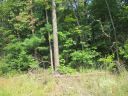 0000 Whitmire Church Road sold home in Tamassee, SC