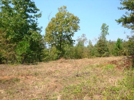 Lot 29 Mountain View Pointe