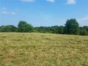 2408 Watkins Road sold home in Anderson, SC