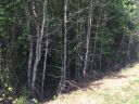 330 Quarry Road sold home in Liberty, SC