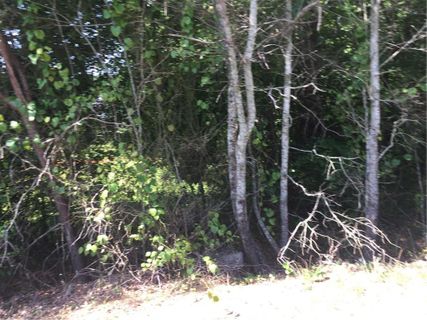 320 Quarry Road