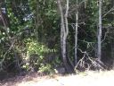 320 Quarry Road sold home in Liberty, SC