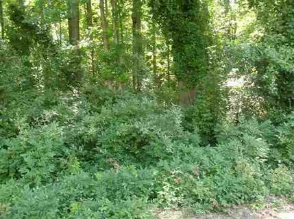 P16,+17,18,19 Woodland Drive sold home in No Subdivision, Belton, SC