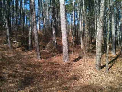 17/18 Hunters Trail sold home in Hunters Run, Walhalla, SC