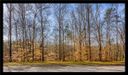 00 Willow Wood Court Court sold home in Seneca, SC