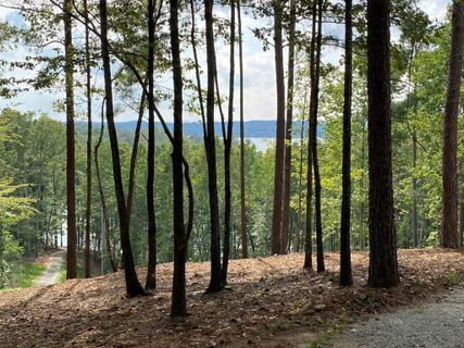 0 Sue Craig Road Lot 7 sold home in The Sanctuary at Keowee, Six Mile, SC