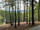 0 Sue Craig Road Lot 7 sold home in Six Mile, SC
