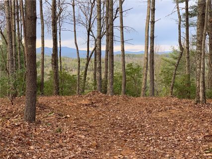 E28 Mountain Breeze Lane
