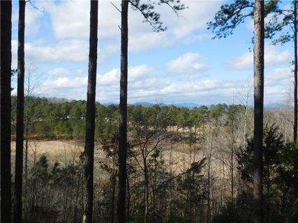 807 Briarberry Court