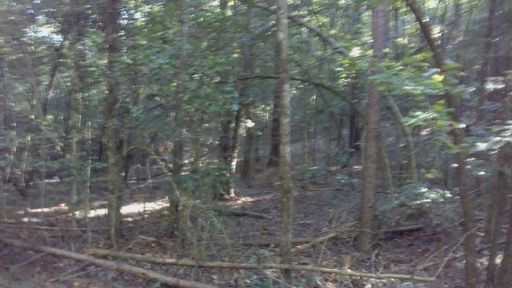 000 Lots 10 & 11 Lake Becky Interior No Lake Access Road sold home in Mountain Lakes, Mountain Rest, SC