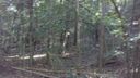 000 Lots 10 & 11 Lake Becky Interior No Lake Access Road sold home in Mountain Rest, SC