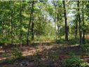 427 Gibson Road sold home in Anderson, SC