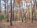 728 Scharlin Drive sold home in Pickens, SC