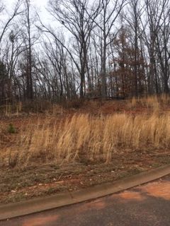 255 Audubon Acres Drive