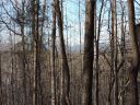 Lot 4 Falcons Nest Road sold home in Walhalla, SC
