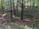 13025 Danube Circle sold home in Seneca, SC