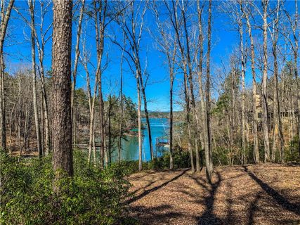 132 Big Creek Trail
