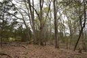 1021/1023 N Shore Drive sold home in Anderson, SC