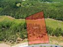 105 Coveside Lane sold home in Six Mile, SC