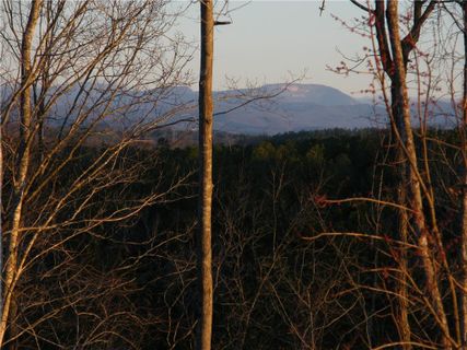 00 Twin View Drive