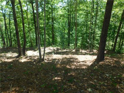 Lot 1 Bentwood Way