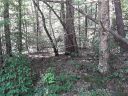 121 Willys Creek Circle sold home in Pickens, SC