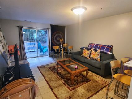 1108 Tiger Boulevard 115 sold home in Village Green, Clemson, SC