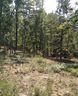 6003 N Mt Vernon Drive sold home in Seneca, SC