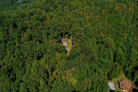 157 Summit Pine