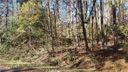7 Forest Drive sold home in Townville, SC