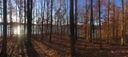 00 Northview Court Lot 23 sold home in Fair Play, SC