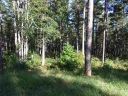 00 High Pines Drive sold home in Salem, SC