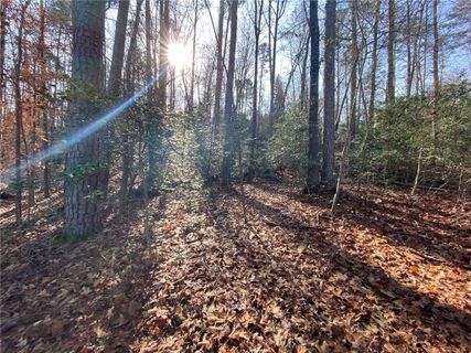 133 Sweet Gum Drive