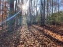 133 Sweet Gum Drive sold home in Westminster, SC