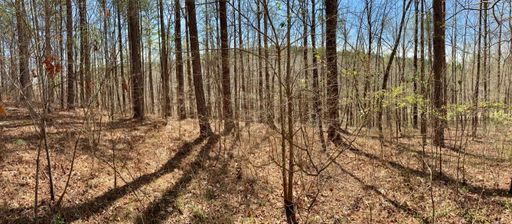 Lot 125 Longwood Drive