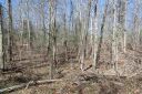 .99Ac Circle Drive sold home in Townville, SC