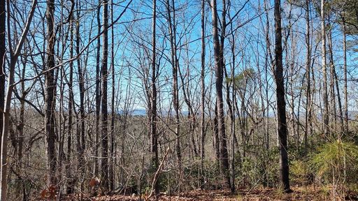 329 Long Cove Trail