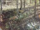 330 Falcons Nest Road sold home in Walhalla, SC