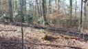 213 Brittany Park Road sold home in Anderson, SC