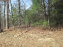 None Whitmire Church Road sold home in Tamassee, SC
