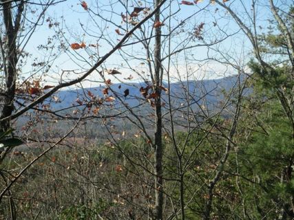 N31 Mountain Laurel Drive