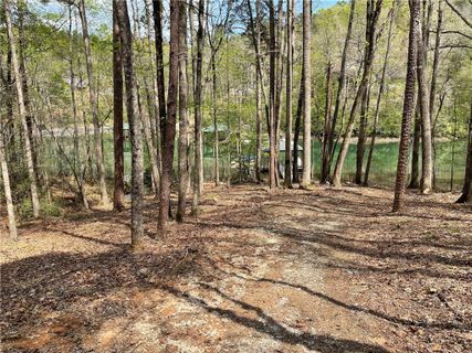 106 Mossy Way