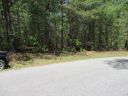 261 Cherokee Hills Drive sold home in Pickens, SC