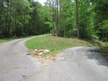 357 Gauley Falls Road