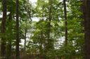 124 Edgewater Point sold home in Abbeville, SC