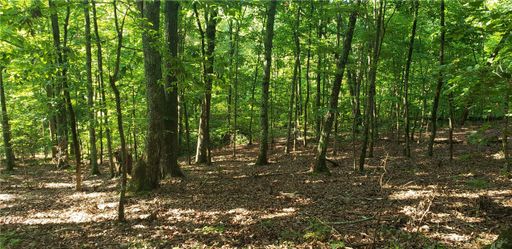 Lot 5 Beulah Land Way sold home in Woodall Mnt, Pickens, SC