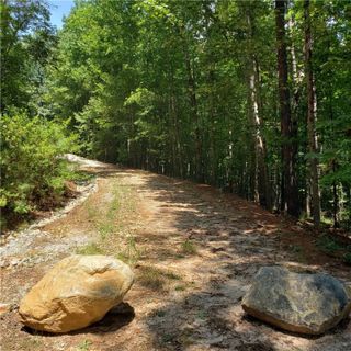 407 Nest Pine Court